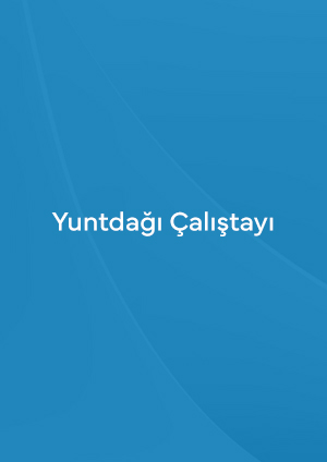 Yuntdağı Çalıştayı